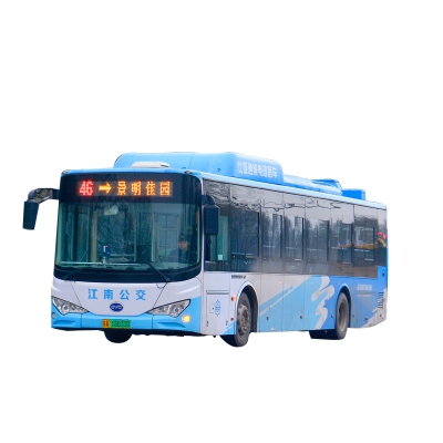 Buses