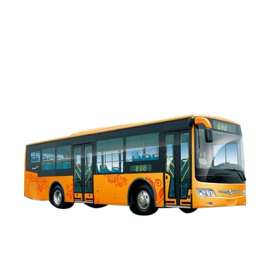 Buses