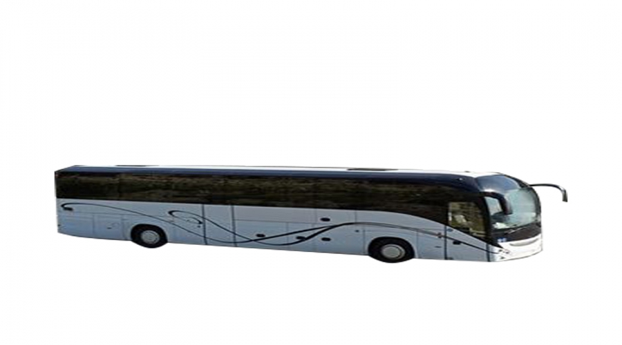 Buses